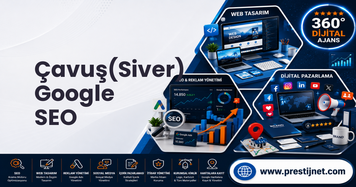 Çavuş(Siver) Google SEO