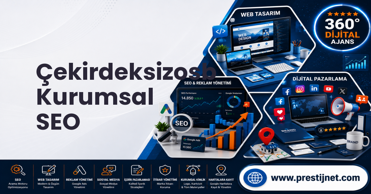 Çekirdeksizosb Kurumsal SEO