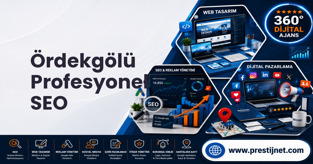 Ördekgölü Profesyonel SEO