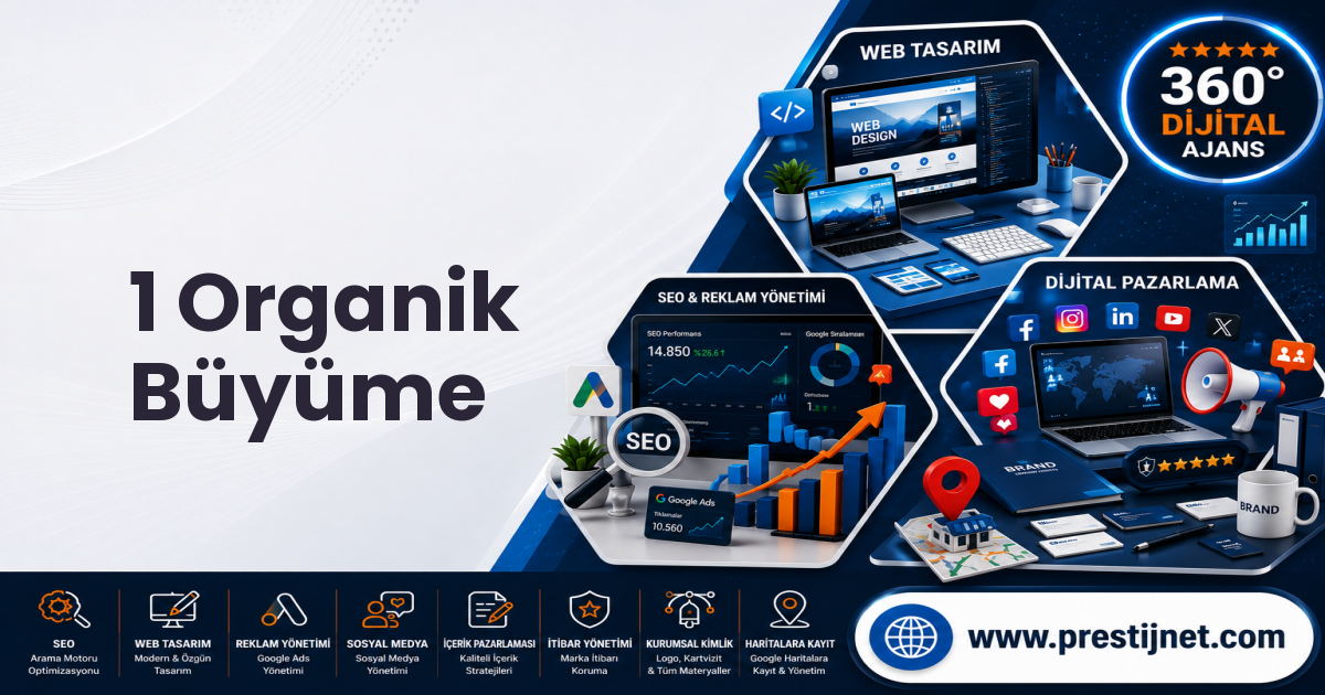 1 Organik Büyüme