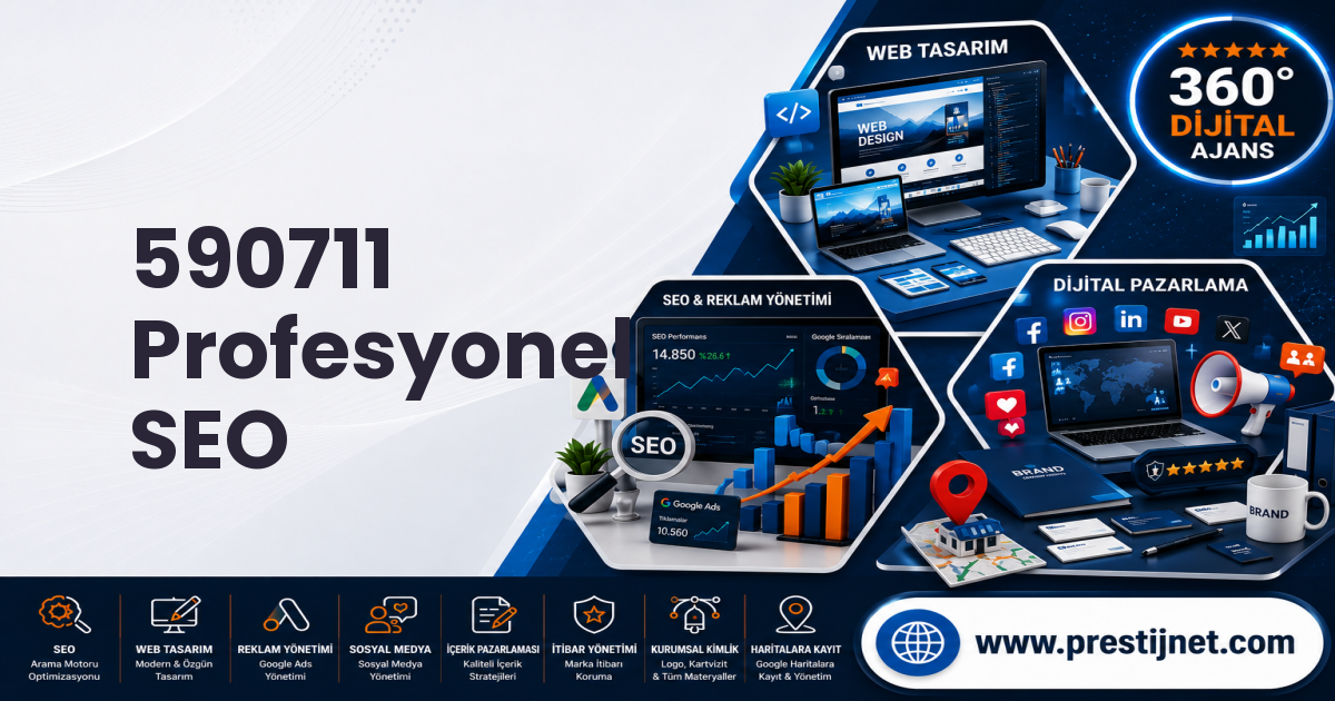 590711 Profesyonel SEO
