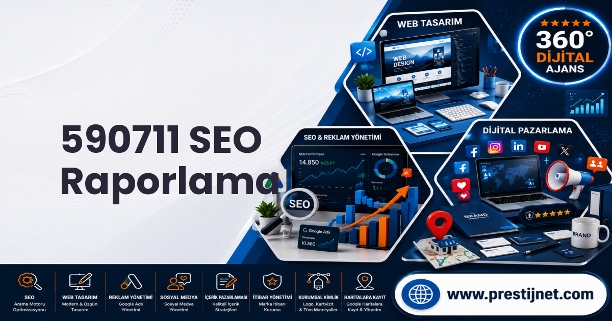 590711 SEO Raporlama