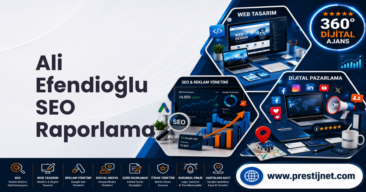 Ali Efendioğlu SEO Raporlama