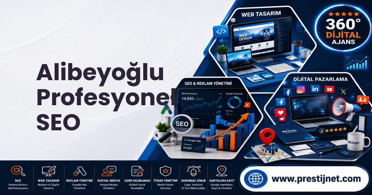 Alibeyoğlu Profesyonel SEO
