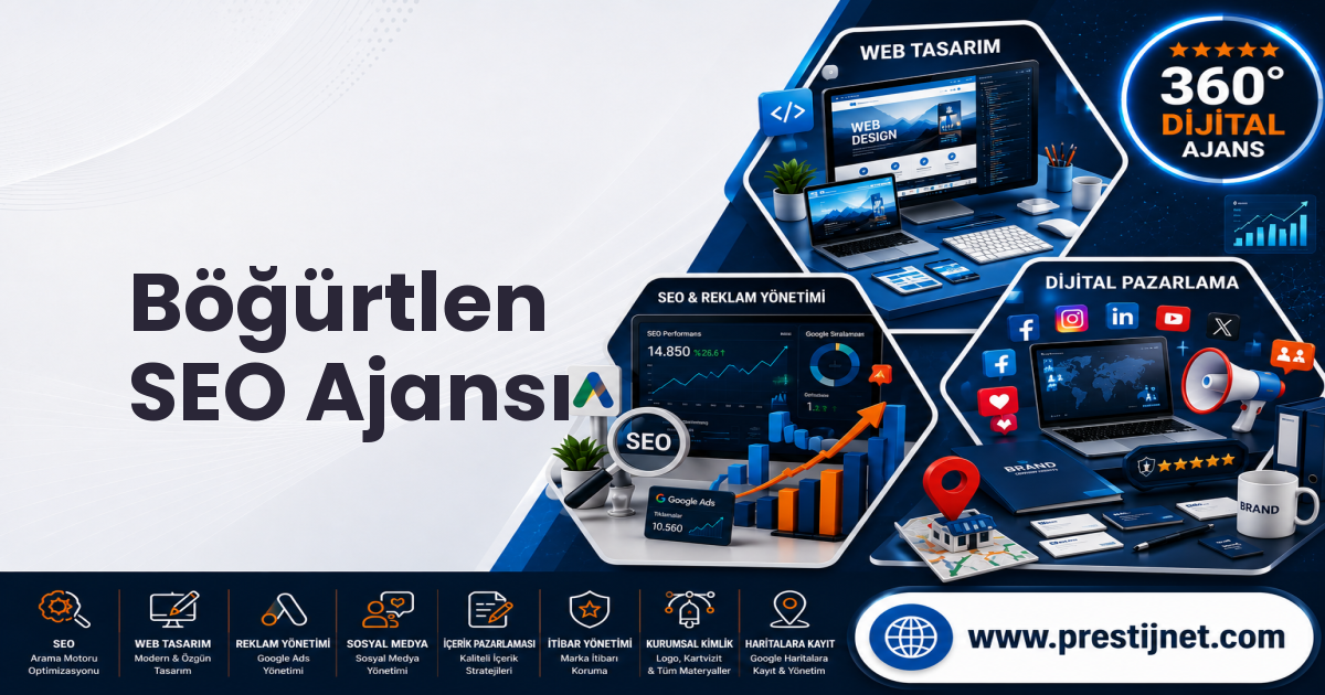 Böğürtlen SEO Ajansı