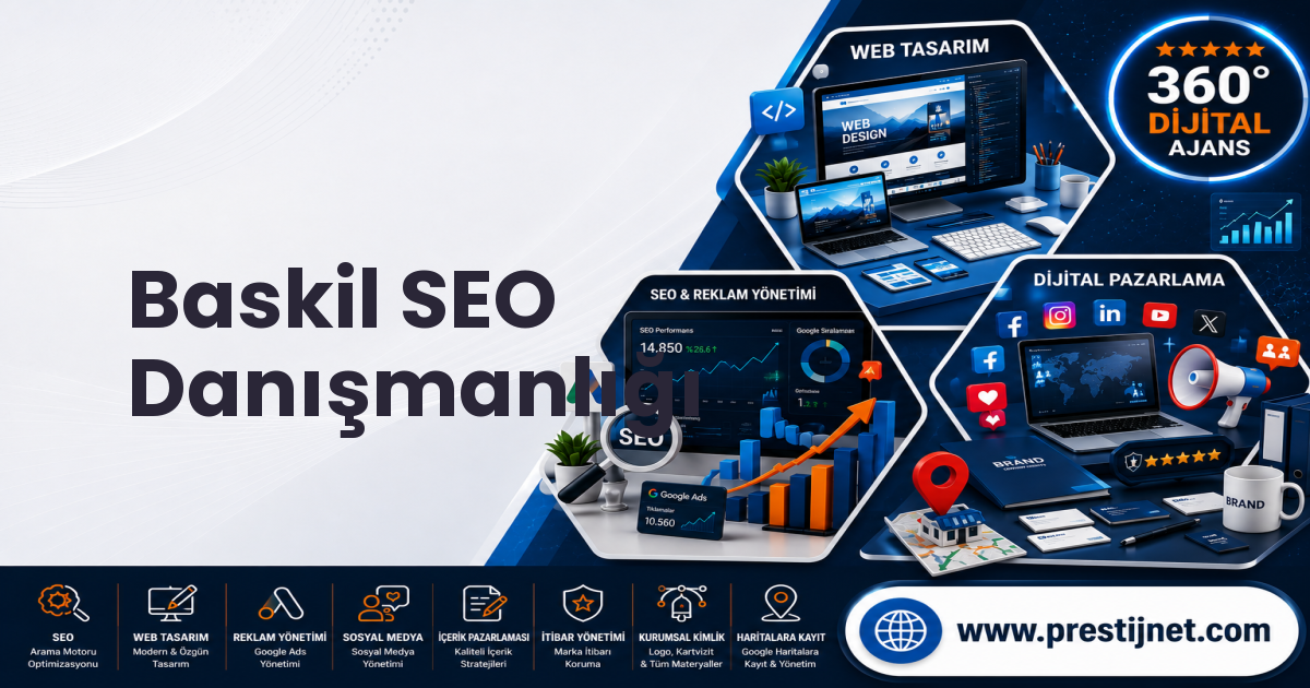 Baskil SEO Danışmanlığı
