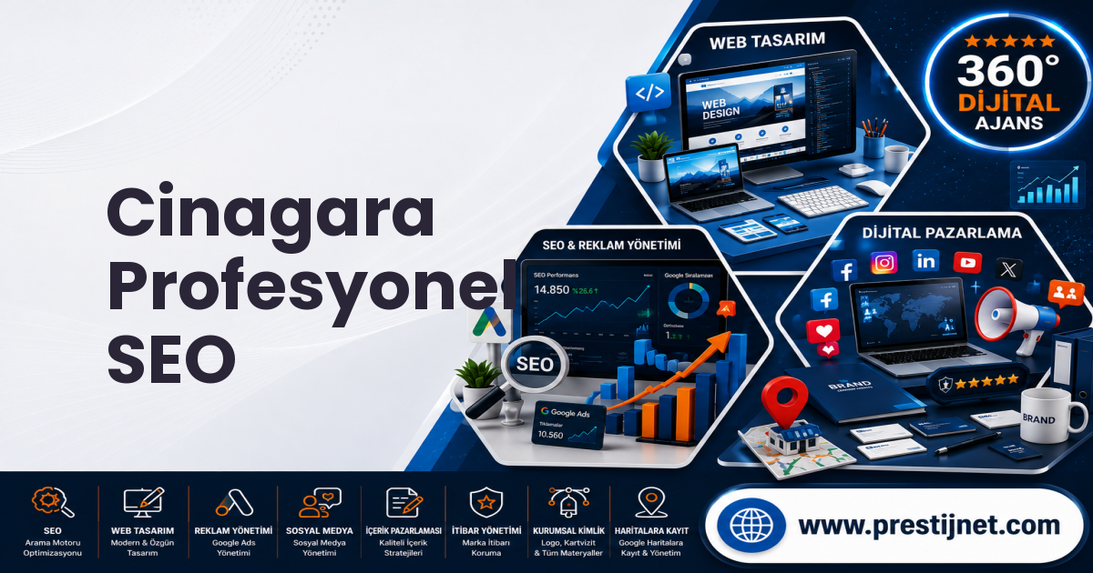 Cinagara Profesyonel SEO