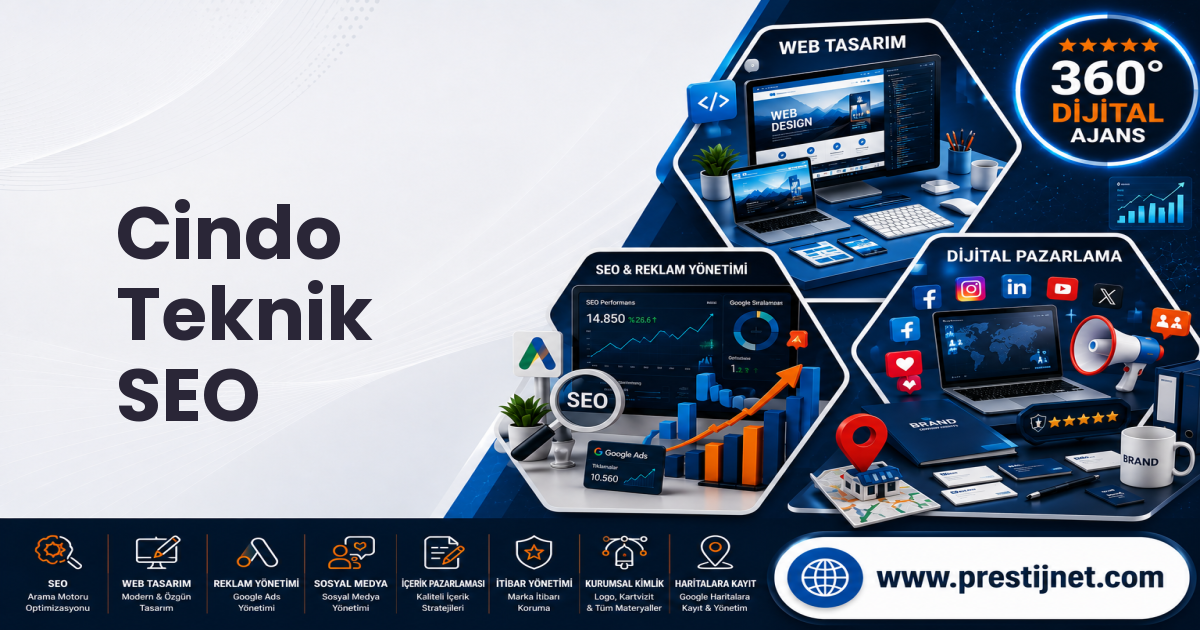 Cindo Teknik SEO