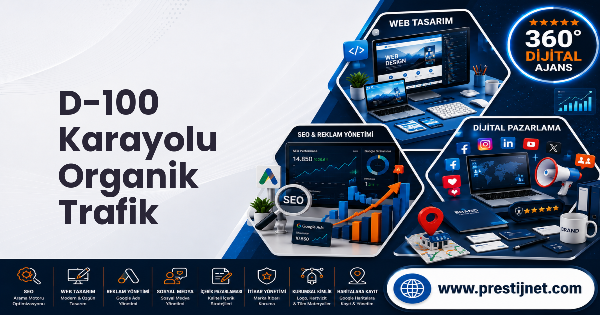 D-100 Karayolu Organik Trafik