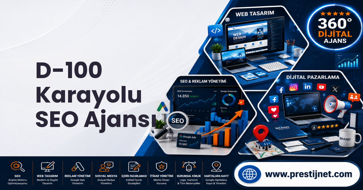 D-100 Karayolu SEO Ajansı