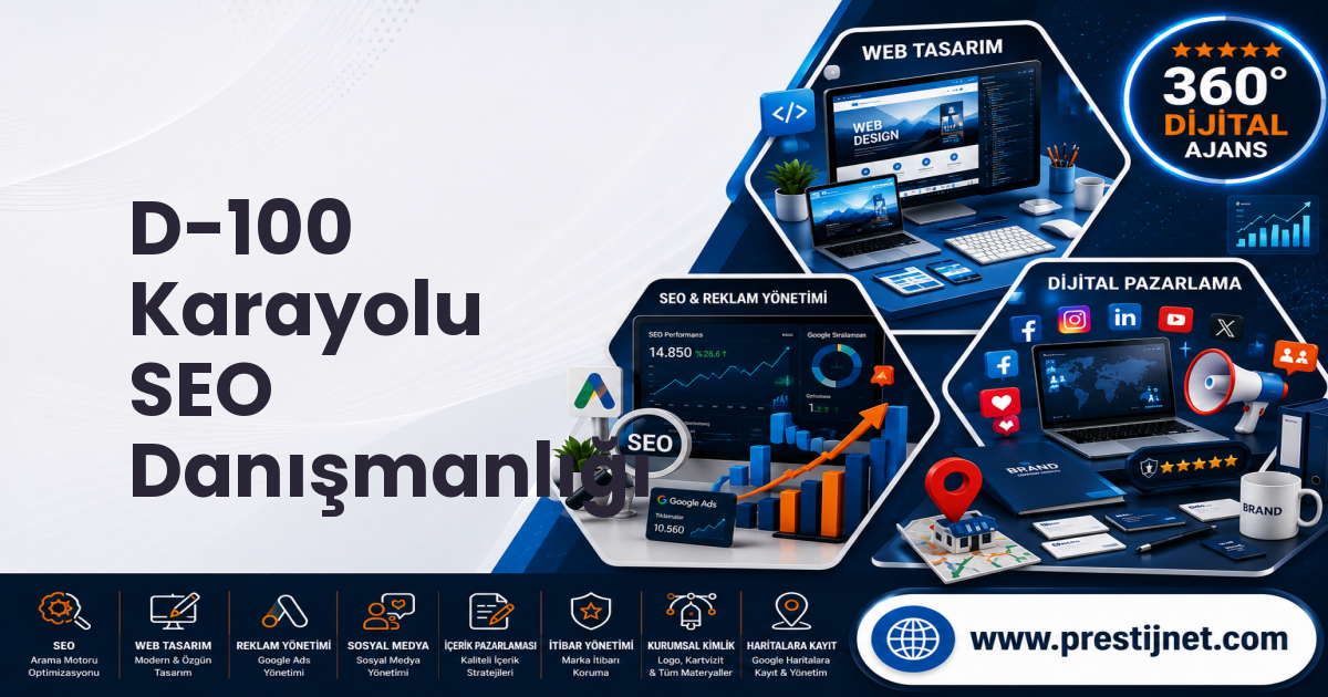D-100 Karayolu SEO Danışmanlığı