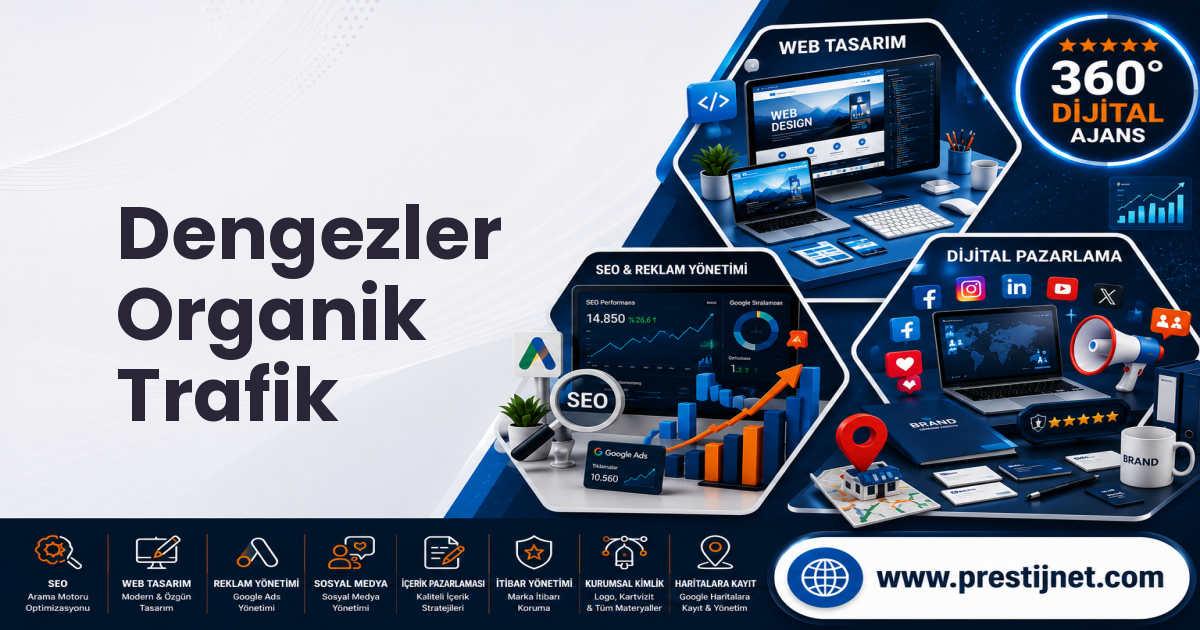 Dengezler Organik Trafik