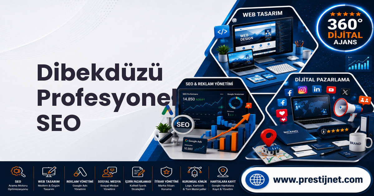 Dibekdüzü Profesyonel SEO