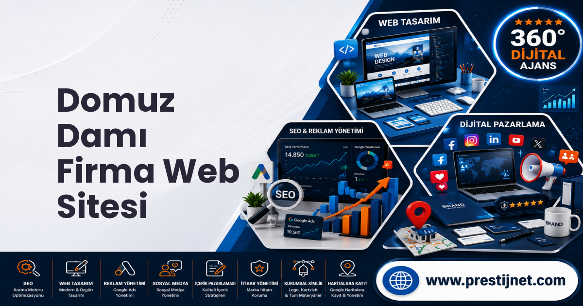 Domuz Damı Firma Web Sitesi