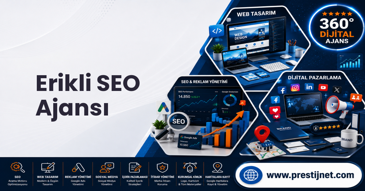 Erikli SEO Ajansı