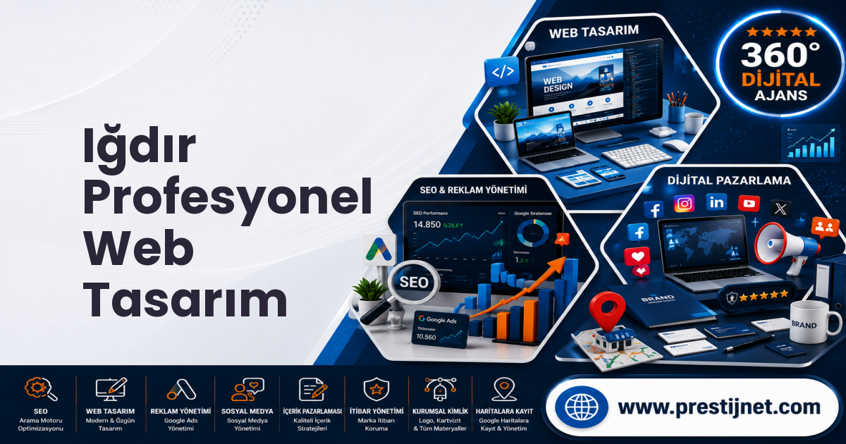Iğdır Profesyonel Web Tasarım