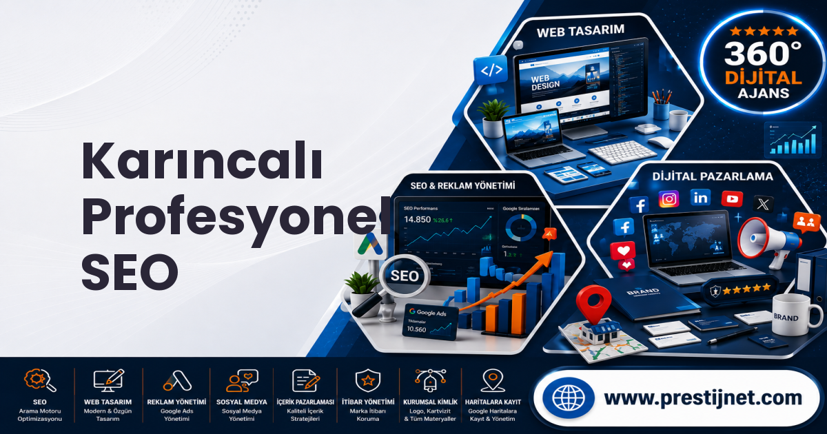 Karıncalı Profesyonel SEO