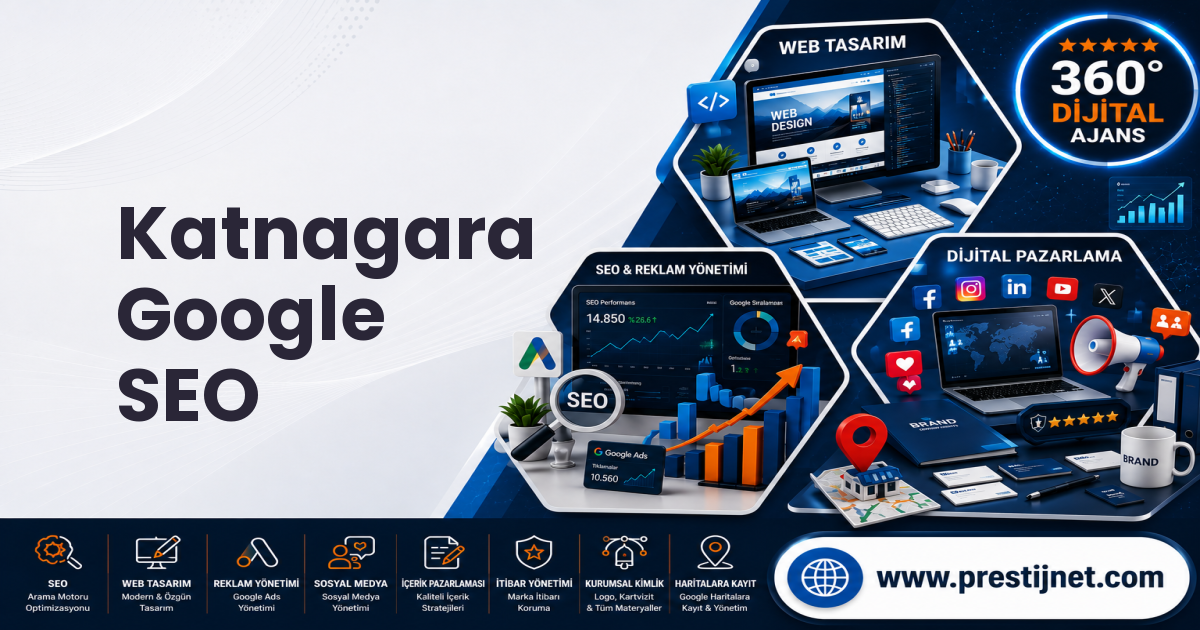 Katnagara Google SEO