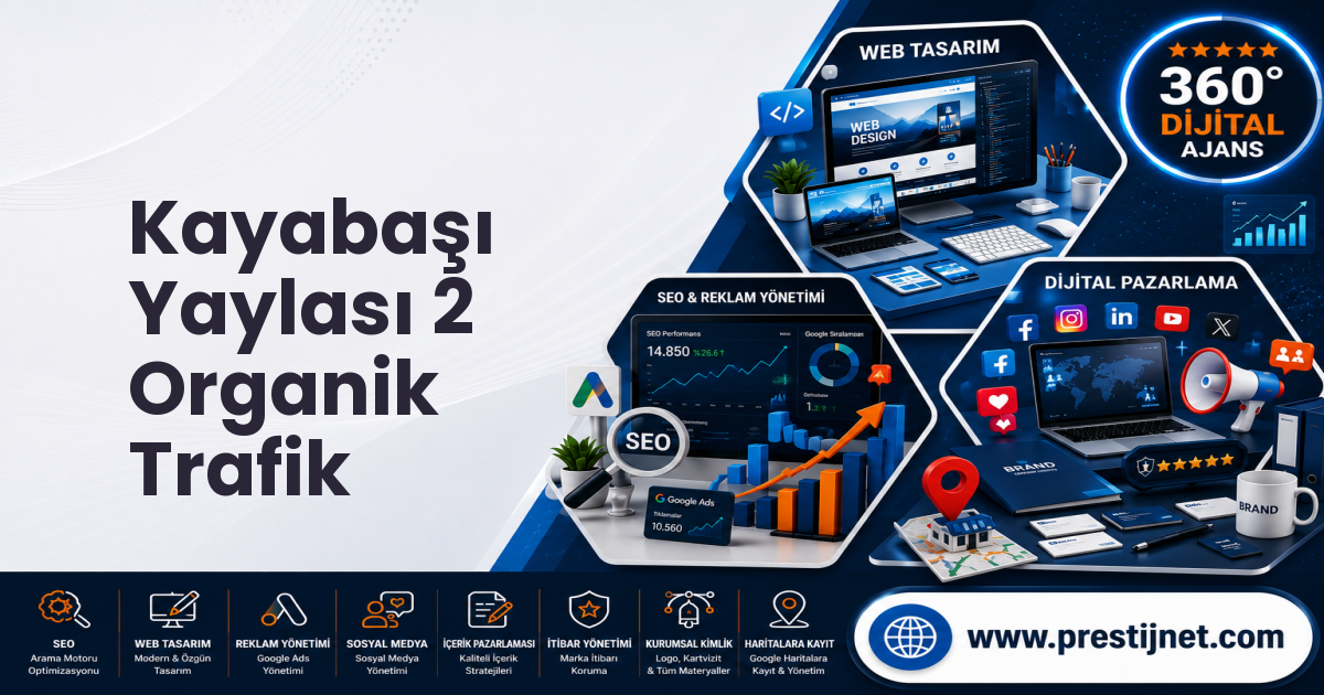 Kayabaşı Yaylası 2 Organik Trafik