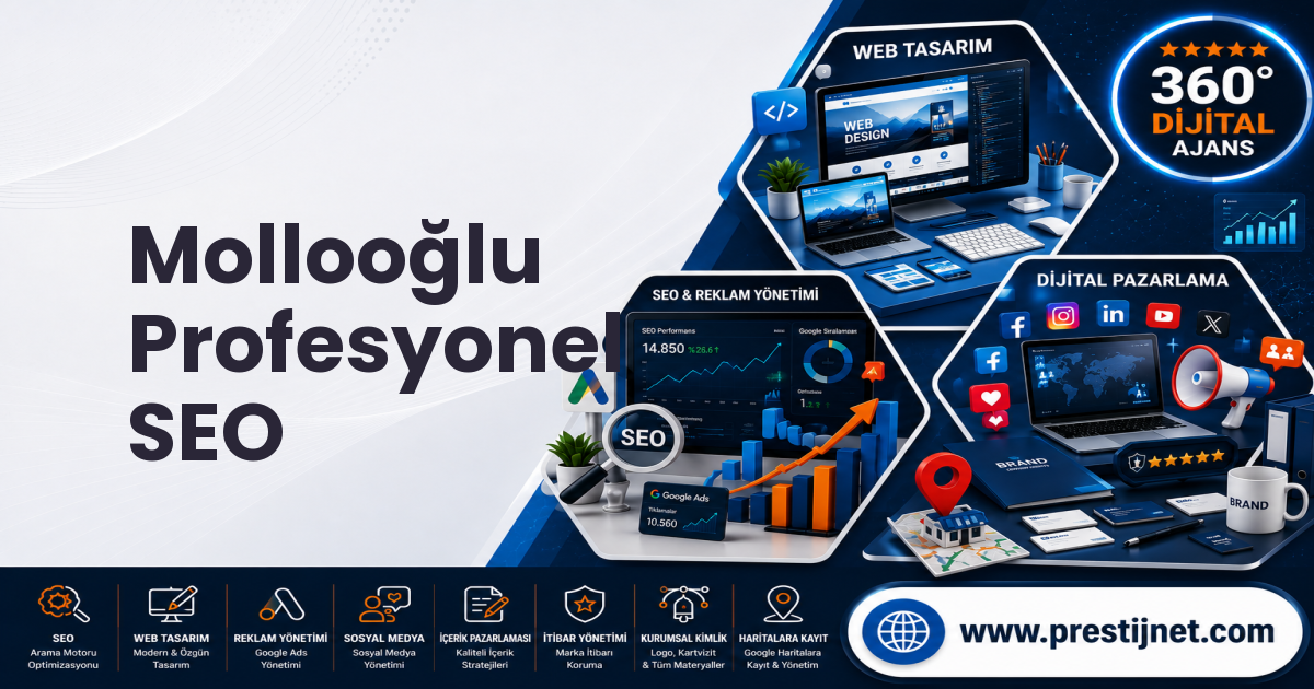 Mollooğlu Profesyonel SEO