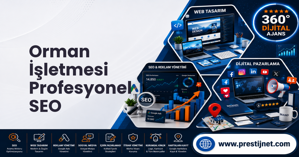 Orman İşletmesi Profesyonel SEO