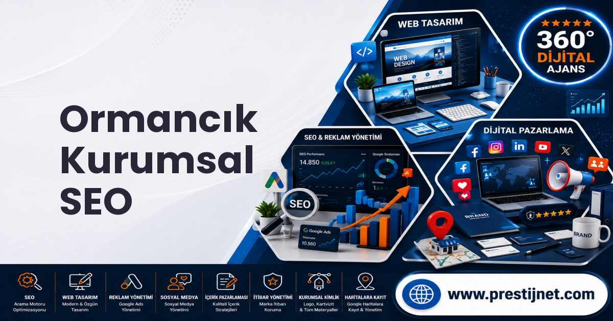 Ormancık Kurumsal SEO