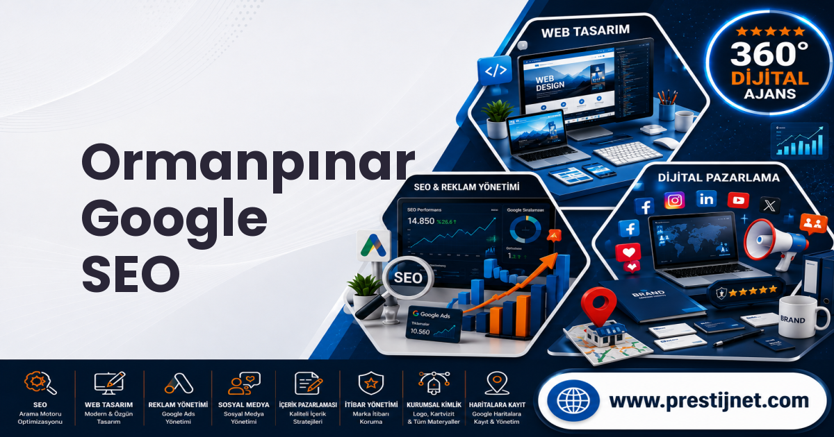 Ormanpınar Google SEO