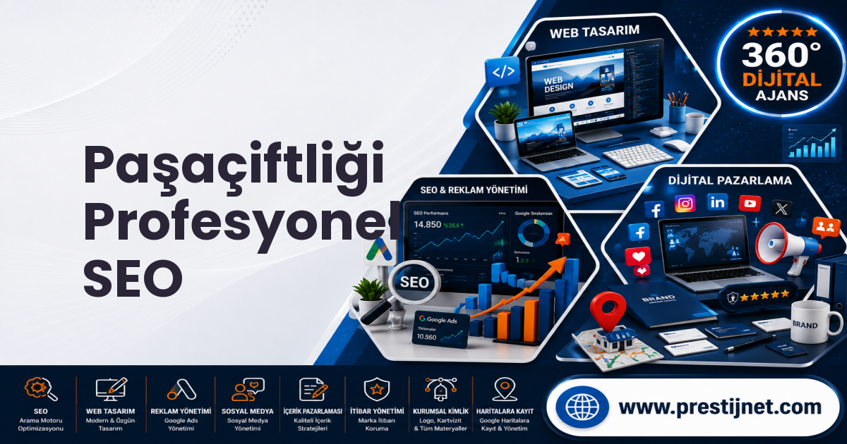 Paşaçiftliği Profesyonel SEO