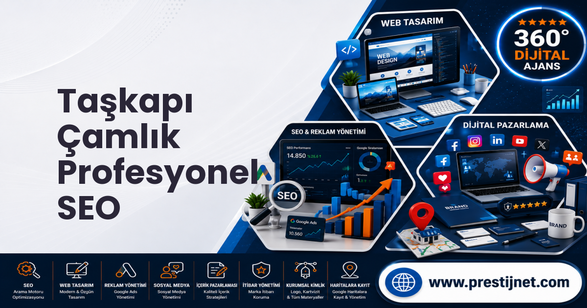 Taşkapı Çamlık Profesyonel SEO