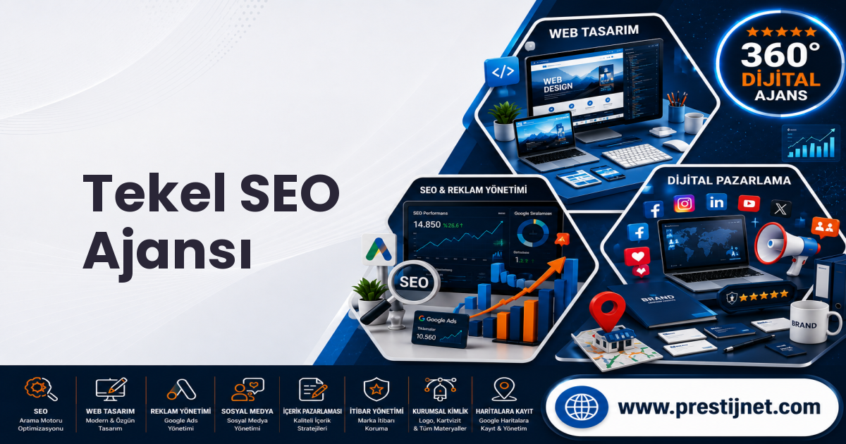 Tekel SEO Ajansı
