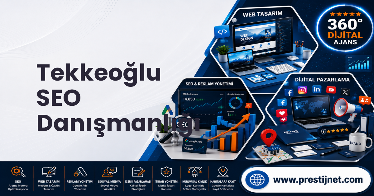 Tekkeoğlu SEO Danışmanlığı