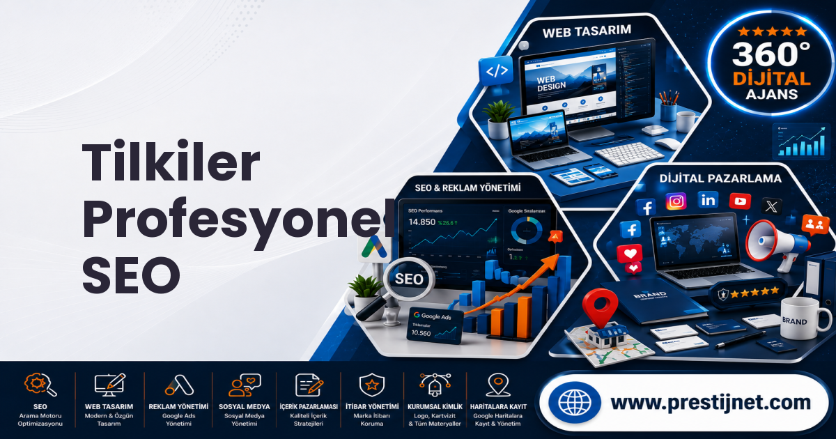 Tilkiler Profesyonel SEO