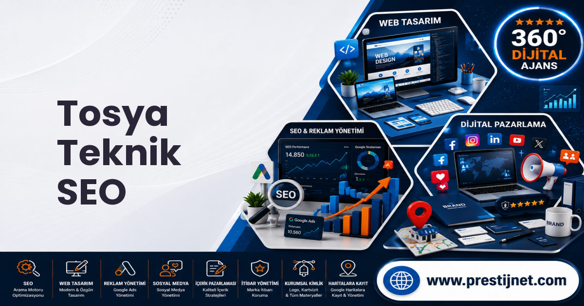 Tosya Teknik SEO